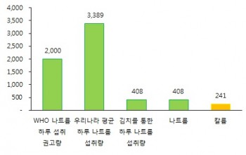 국내 하루 평균 나트륨 섭취량은 세계보건기구 권고량보다 1.5배 가량 높다. 이중 김치로 섭취하는 양은 12% 정도다. - 세계김치연구소 제공